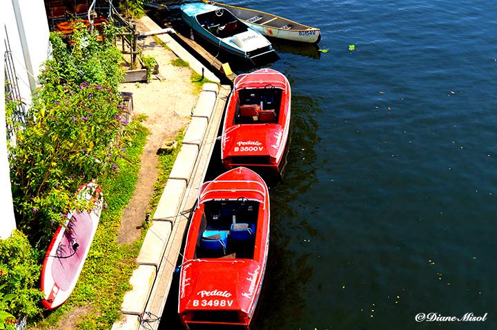 Classic 50's Style Paddle Boats. Berlin Island, Treptower Park