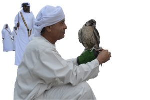 Friendly Hawk Handler, Abu Dhabi