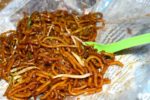 Night Market Noodles Served in Paper - Langkawi