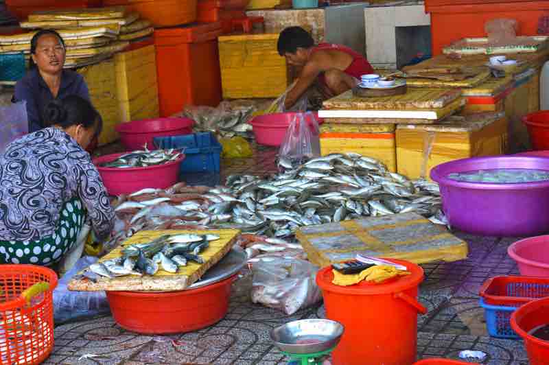Phu Quoc Day Market, Fish Vendors