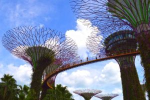 Super Trees - Singapore Gardens