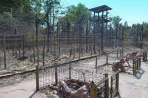 Tiger Cages - Coconut Prison, Phu Quoc, Vietnam