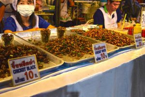 Bugs for Sale - Chiang Rai Night Market, Thailand
