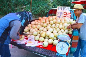 Roadside Melon Treat - Chiang Rai, Thailand