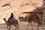 Camels in Petra - Jordan - 0128