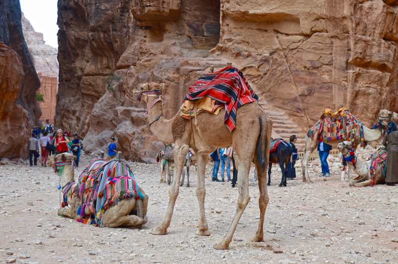 Petra Views - Jordan - 0121