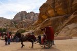 Petra Jordan Horse and Carriage