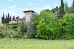Castles and Vineyards, a Perfect Combo - San Gimignano, Italy
