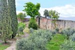 Inner Wall and Garden - San Gimignano, Italy - Livorno Cruise Port