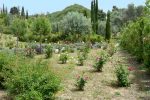 Olympic Botanical Gardens - Olympia, Greece - 0361