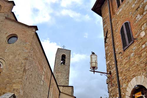 Pigeon Watches Over San Gimignano