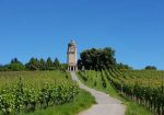 Wine Fields and Bismark Turm Tower - Konstanz, Germany