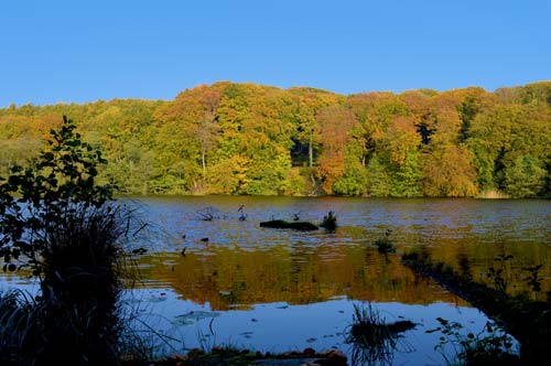 Autumn in Jasmund National Park - Ruegen, Germany