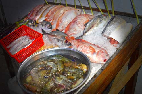 Fresh Fish Selection of the NIght - Restaurant Thu Phuong, Duong Dong, Phu Quoc, Vietnam