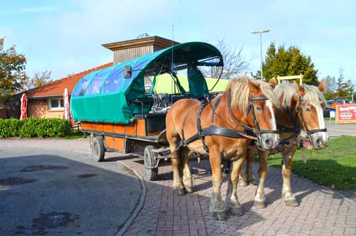 Horse and Carriage - Cape Arkona, Ruegen, Germany