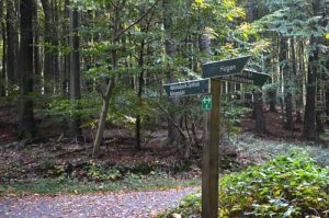 Trail Signs in Jasmund National Park - Ruegen, Germany