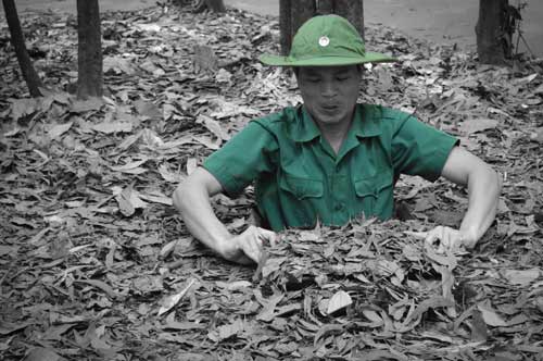 Cu Chi Tunnels - Ho Chi Minh Must Do List - Vietnam