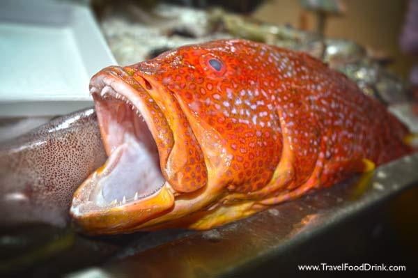 Red Sea Grouper - Alhalaka Fish Restaurant, Hurghada, Egypt Dining