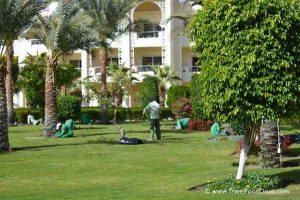 Gardeners - Serenity Resorts, Makadi Bay, Egypt