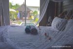 Pool View - Sleepy Gecko Guesthouse, Canggu, Bali