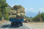 Hay Load - Montenegro