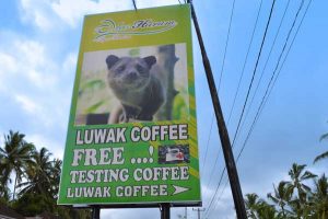 Entrance to Alas Harum Luwak Coffee - Ubud, Bali