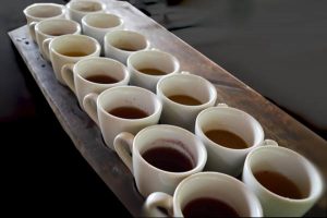 Sample Tea & Coffee - Alas Harum, Ubud, Bali